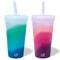 Silipint® 22oz. Mountain Air & Desert Sun Silicone Straw Tumblers
